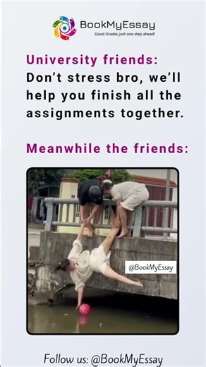 Meanwhile My Friends During Assignment Submission Week 💀
