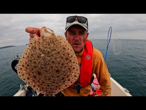 Catching Turbot & Brill: The World's Most Elusive Flatfish!