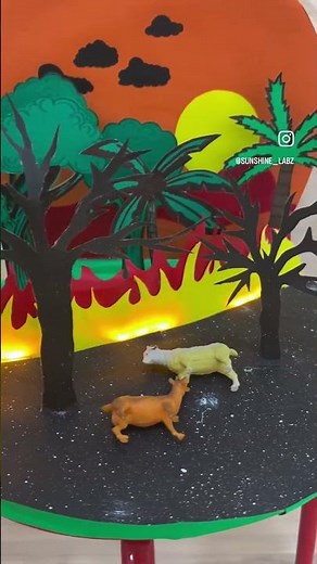 Working model of forest fire #schoolproject #scienceproject