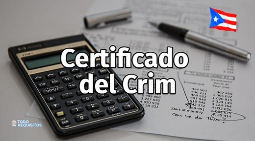 ▷ Pasos y requisitos para Solicitar el Certificado del Crim