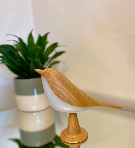 LED Touch Bird Lamp: 3 Light Shades, Option for Aroma Diffuser, Stand or Hanging Options - Etsy