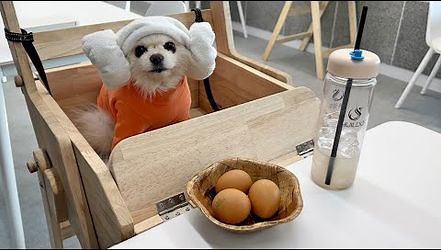 행성이랑 찜질방에 갔어요 ♨️