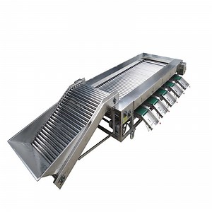 [Hot Item] Innovative Automatic Vegetable Sorter Machine High Performance Fruit Roller Type Sorting Machine