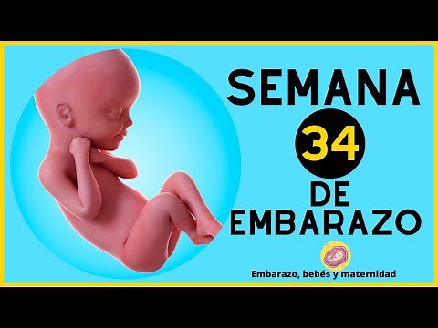 semana 34 de embarazo sintomas en la madre | 34 semanas de EMBARAZO | LO QUE NO TE HAN DICHO 😱💓
