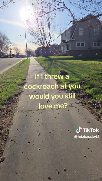 #cockroach #fyp #loveme #v #4upageシ | roaches flying