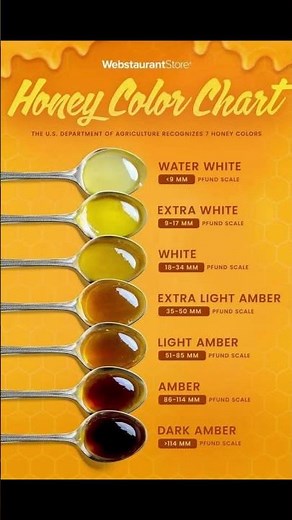 The REAL Difference Between Light and Dark Honey Tones