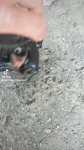 15K views · 370 reactions | Water pump bocor salah satu punca engine panas. Water pump ni perlu di check atau tukar pada 150,000km, atau 3-5tahun. Ada org tanya, boleh ke kalau tak tukar water pump, jawapan dia boleh je, TAPI jika ia bocor mungkin akan menjadi kos yg lebih tinggi, Seperti head engine akan bengkok dan menyebabkan perlu buat top overhaul. Jadi paling baik kita tukar sebelum berlakunya kebocoran. #pomenjanggut | pomen Janggut | Facebook