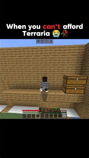When you can't afford Terraria 😭