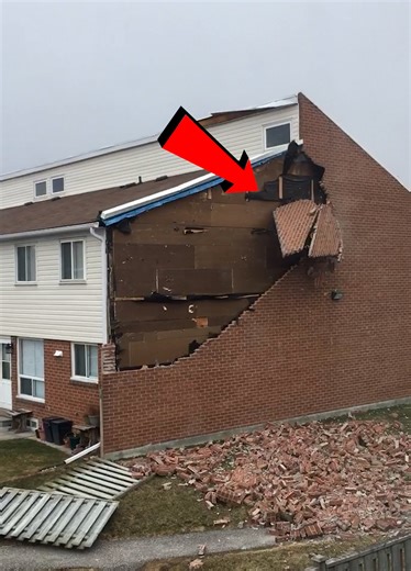 397K views · 1.5K reactions | Wind Chaos! Nature’s Fury in Action️⚡ | Fart On My Wits | Facebook