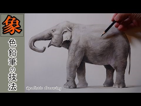 【イラストメイキング】色鉛筆で象の描き方「リアルにスケッチする」