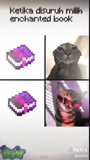 How to Differentiate Enchanted Books in Minecraft