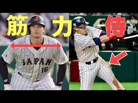 [Q&A] What are the muscles like in baseball players? The physical changes of Samurai Japan
