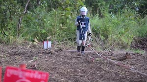 Rat breaks Guinness World Record for most landmines found