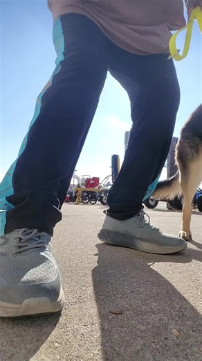 Small training session with my reactive dog. This was just about getting her out and having her see people and dogs from a distance with out having a reaction. #fyp #germanshepherd #girldog #reactivedog