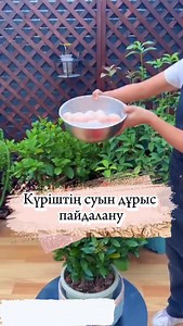 botanik_gulnur on Reels