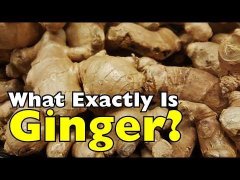 What Is Ginger—and Why Is It So Powerful? [ID0915]