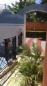 3.4K views · 42 reactions | Room available today Room : 1-2-3-4-5-6-7-8-9-10-11 cl 59120507 | Niv-Villa | Facebook