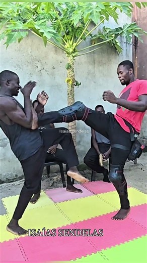 advanced self-defense and combat technique,