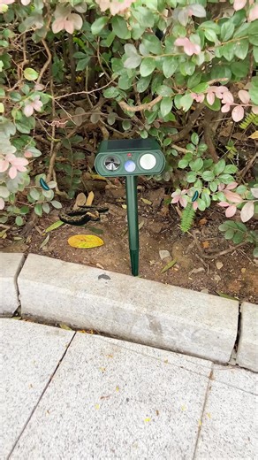 This is an extremely useful animal repellent device. It doesn't require charging. The effective range is 50 to 100 feet. With just one day of sunlight exposure, it can last for 15 days of operation. It is non-toxic and harmless. The ultrasonic waves used to repel animals will not cause any harm to them. It brings you a peaceful life. #musthave#animalrepeller #pimag #foryou #fyp