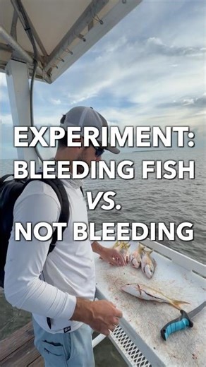 Bleeding vs Not Bleeding ➡️ Does It Matter?