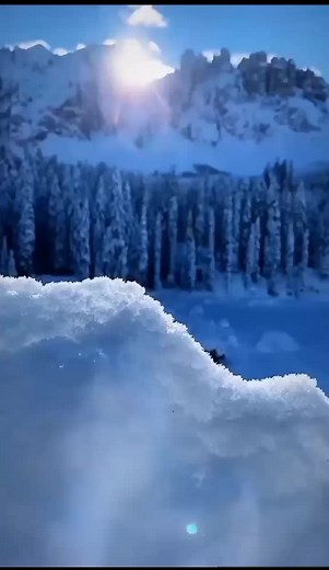 Serene Winter Landscapes with Snow-Covered Beauty