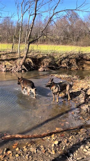 _lovinlife_ (@_lovinlife_)’s videos with original sound_lovinlife_