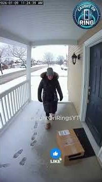 The chaotic scene on the porch was captured by RingCamera (Caught on Ring Camera)