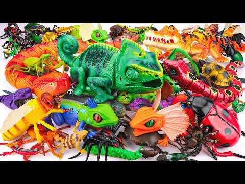 121 Mins Ultimate ZURU Robo Alive Insects ASMR 🦎 Chameleon, Anaconda, Snake, Lizard, Bee