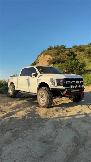 The best raptor R build