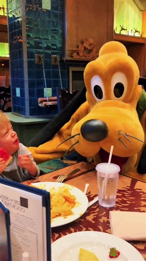 Disney is where dreams come true😘❤️But kid is not a fan of the Disney characters😂#disney #disneyworld #kid #disneyland #baby #usa_tiktok #usa🇺🇸 #fypage #happy #cute #Disney