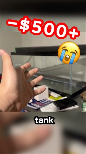 Spending $500 on a pile of dirt 😭