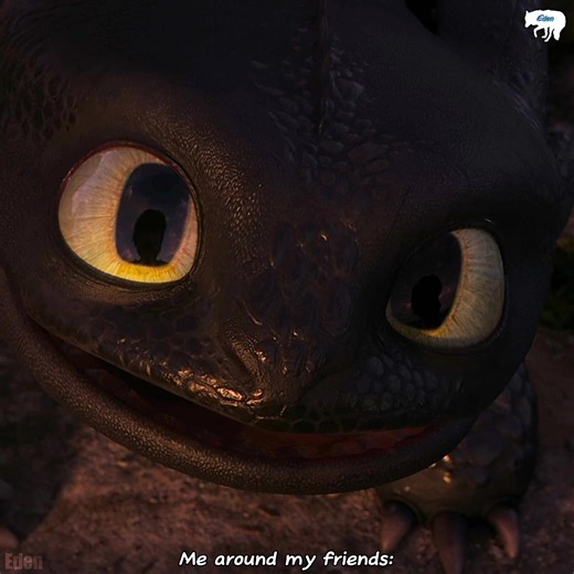 Me in a nutshell: #meme #httyd #toothless #fypシ