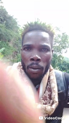 Flingy | fling that thing