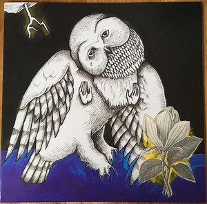Songs: Ohia - The Magnolia Electric Co