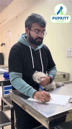 Bathing mistake of most cat parents! | Pupkitt Pet Care | Dr. Anirudh Mittal