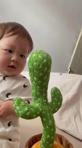 7K views · 12K reactions | The cactus that listens and responds  | Sunny the Cactus | Facebook