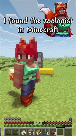 Terraria's Minecraft Mod is INSANE