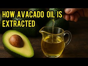 How Avocado Oil Is Extracted: Full Process Explained! 🥑🔥