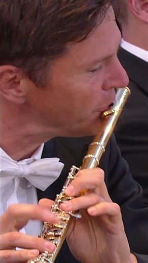 Is there a more instantly recognizable opening in all of classical music? 💃🎶 #shorts #classicalmusic