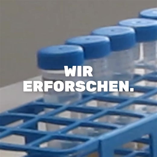 GLOBAL 2000 on Reels | Facebook