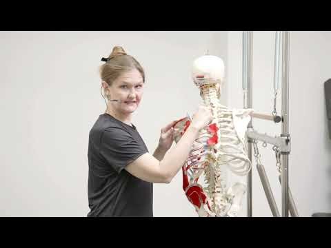 Rotatores- Anatomy Minute- Upside-Down Pilates