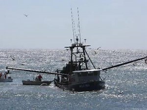 34K views · 139 reactions | Newfie music on Reels | Facebook