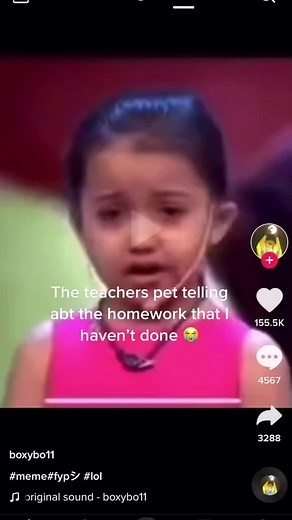 Los deberes y la mascota del profesor