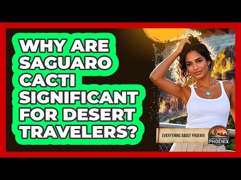 Why Are Saguaro Cacti Significant For Desert Travelers?