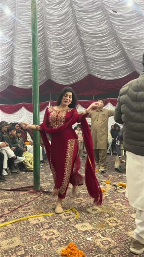 Exploring the World of Dolphins with Humor