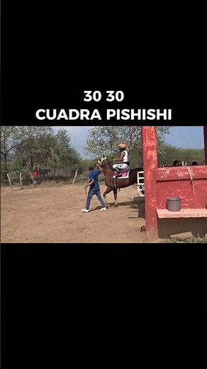 Carreras de Caballos - TORNADO VS 3030