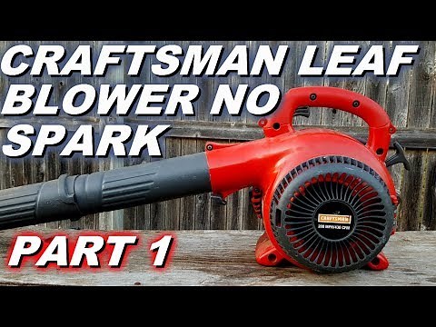 Craftsman blower won't start or run. No spark.