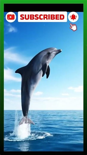 The Dancing Dolphin 🐬 | 3D Animation 4K #3danimation #4kanimation #animalstory
