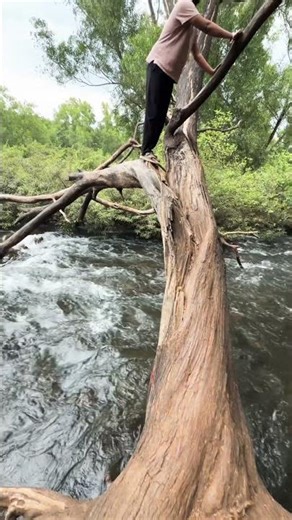 Panshet hidden spots vlog #pune #food #food #trendingnow #youtubeshorts #vlog