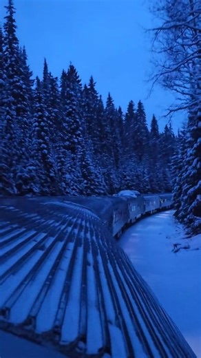 13K views · 391 reactions | Love "The Canadian" in Winter Clip from...